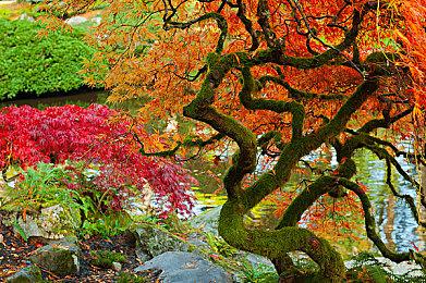 Xbox“极地行动”手柄国行版4月1日发售 定价499元